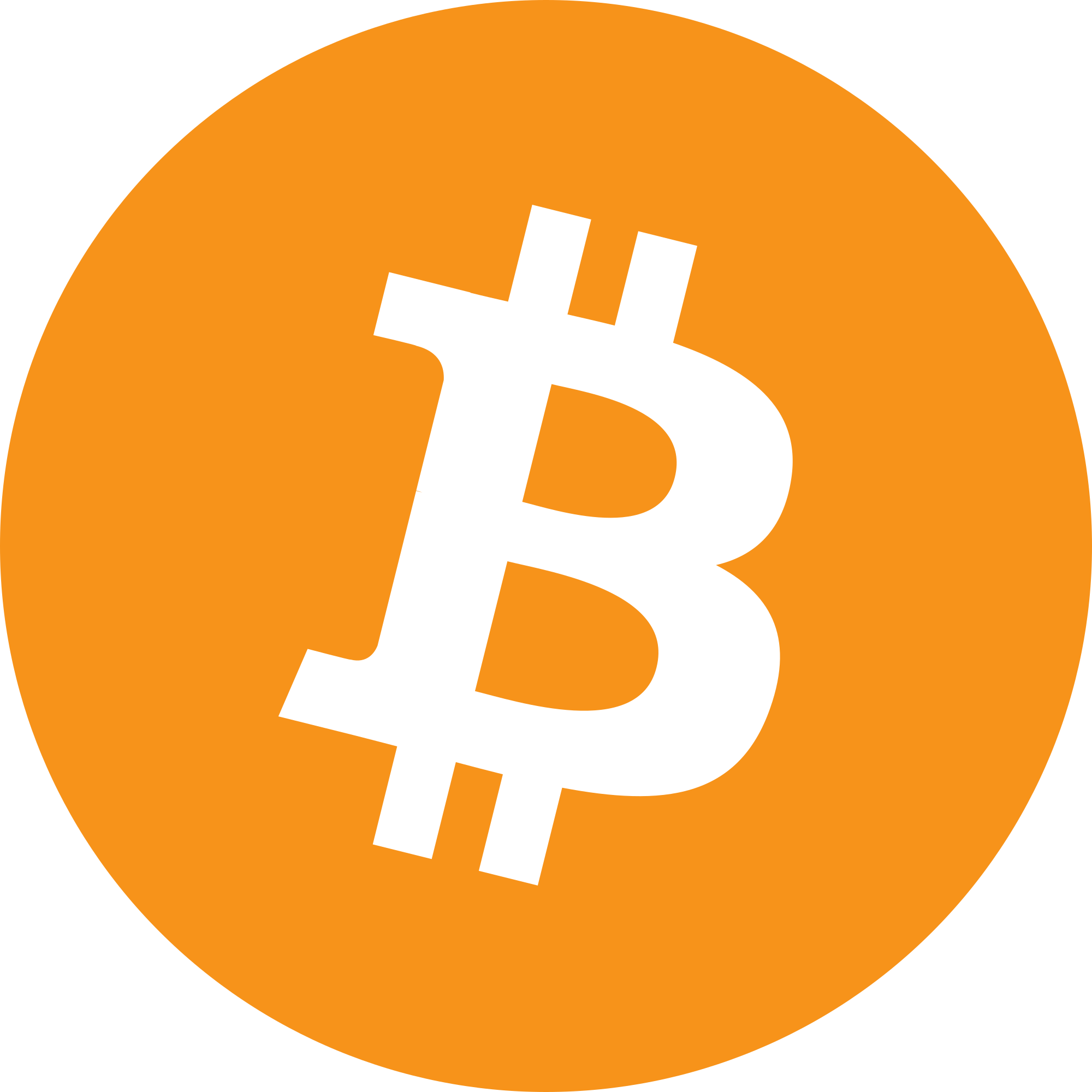 Bitcoin Crypto News icon premium vector PNG - Similar PNG