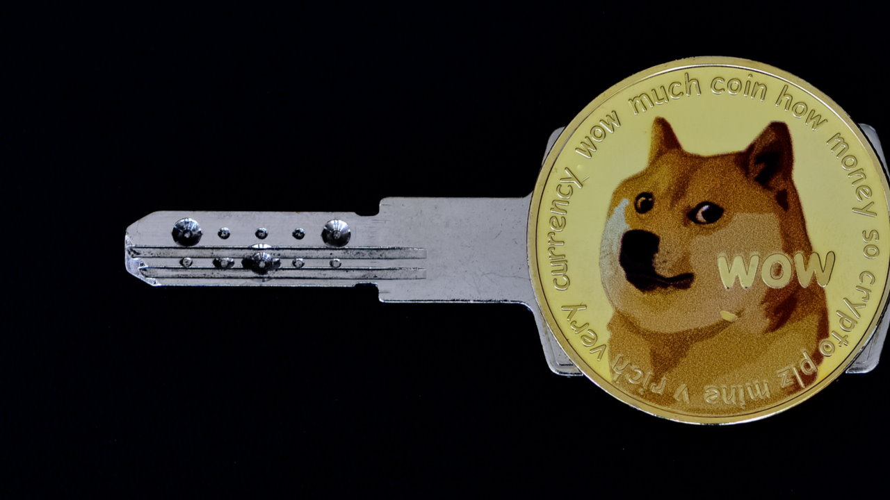 Protecting Your DOGE Assets: Dogecoin Wallets Backup