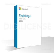 Microsoft Exchange Server Standard | DSA ICT