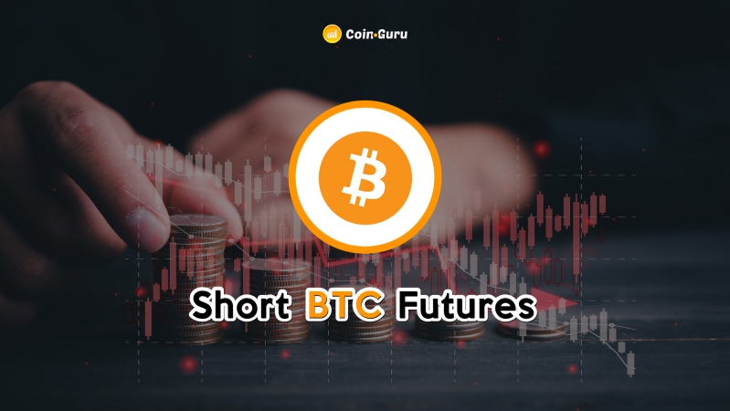 Bitcoin Cash Short Selling Guide - How to Short BCH on Binance | Coin Guru