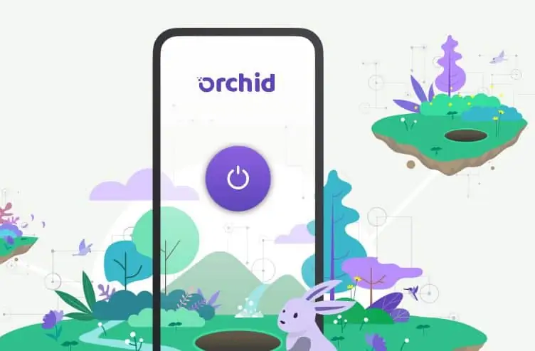 Top Orchid Rich Address List | CoinCarp