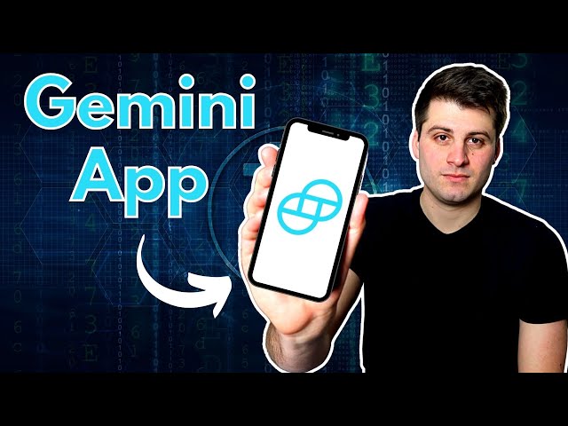 Gemini Exchange: Meaning, Products, Plans