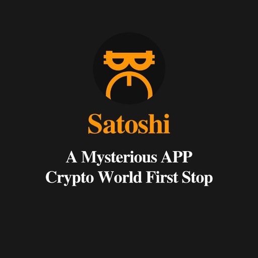 Our Work | Satoshi Action Fund