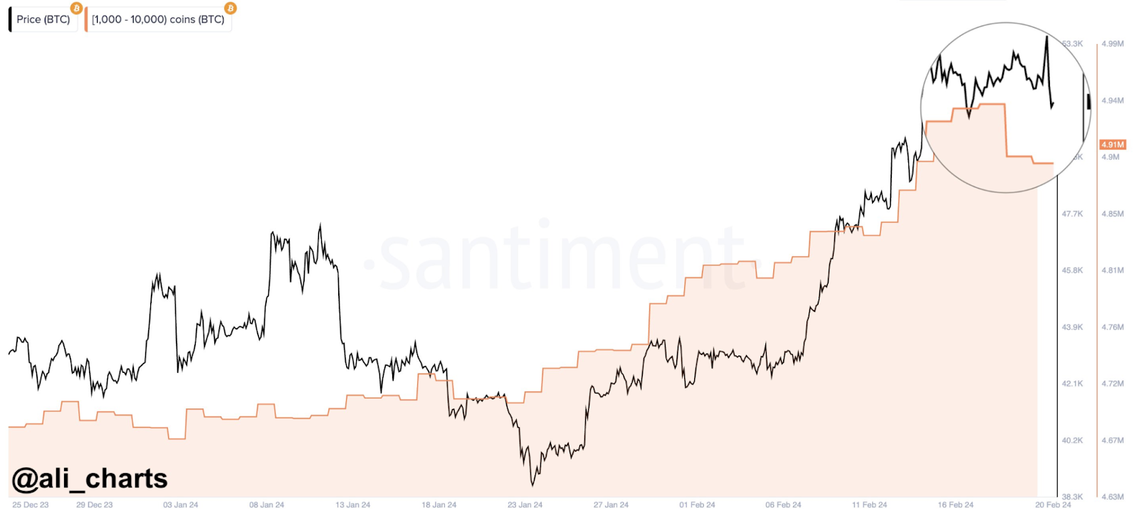 Could Bitcoin crash below $10,? | Fortune Crypto