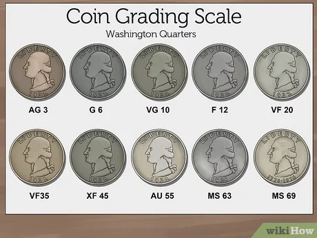 Uncirculated Coins and How to Identify Them