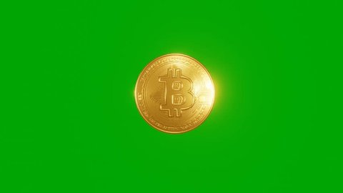 Digital Green Crypto Coins Falling In Matrix Stock Motion Graphics SBV - Storyblocks