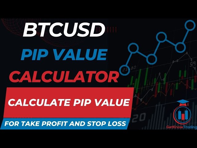 Pip Value Calculator | SMART TRADING SOFTWARE