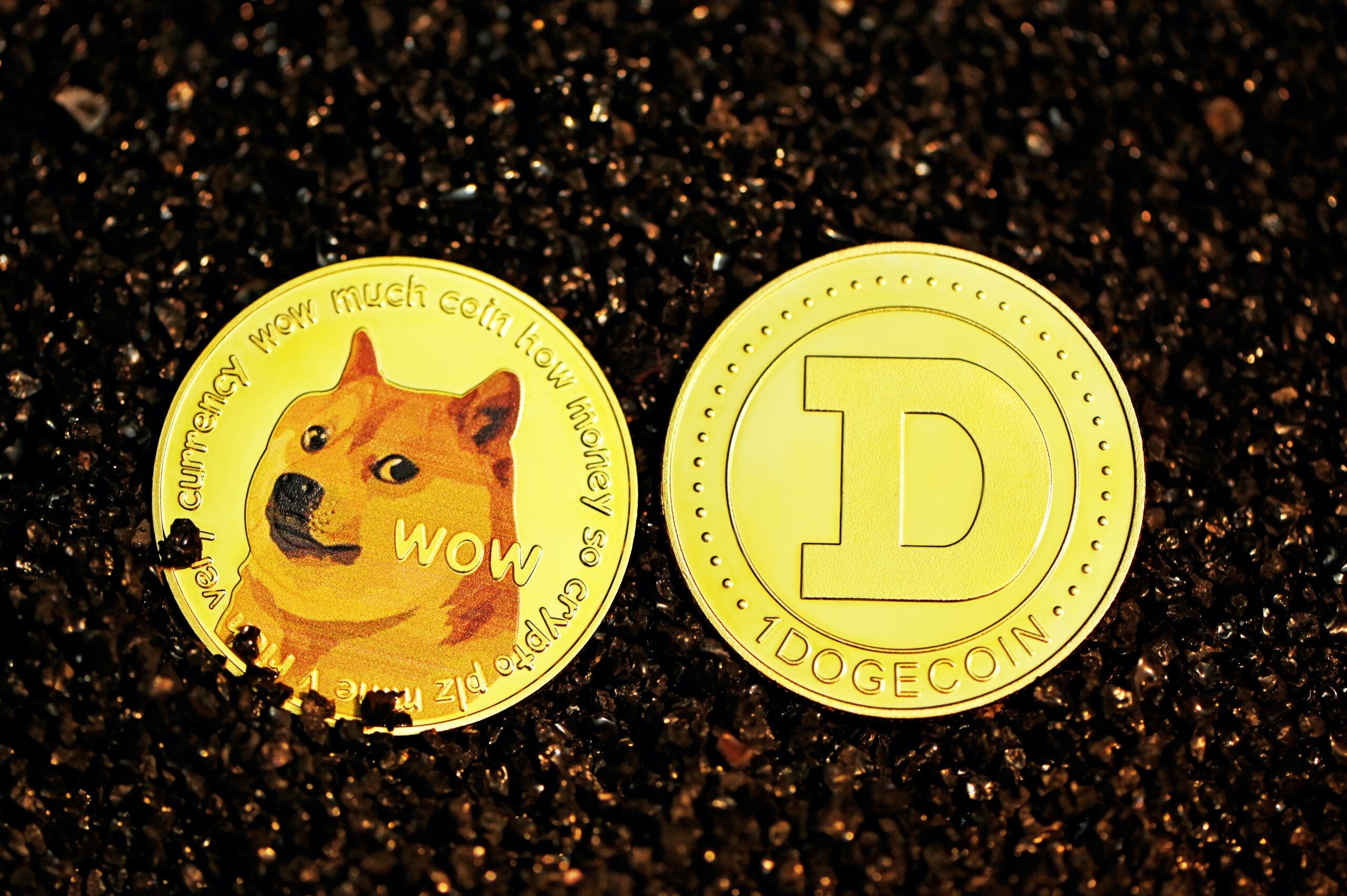 Convert 1 DOGE to USD - Dogecoin price in USD | CoinCodex