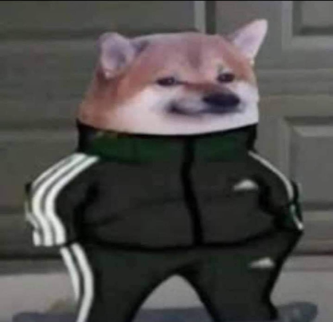 angry doge Meme Generator - Imgflip