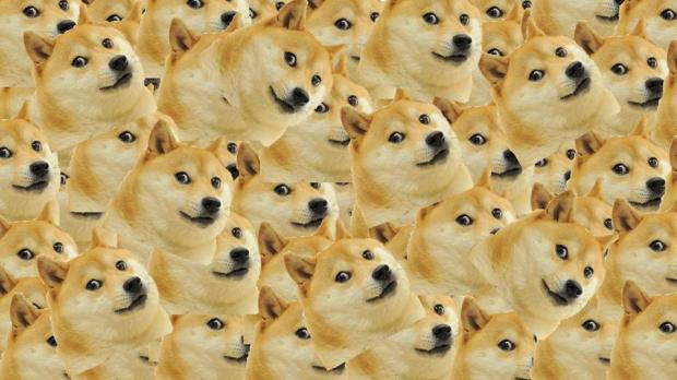 Doge Meme Generator - Imgflip