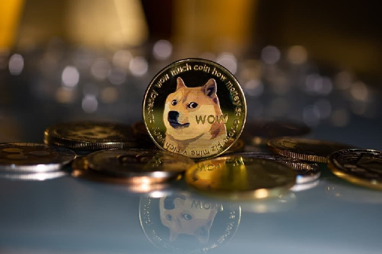 DOGECOIN to USD Price today: Live rate RagingElonMarsCoin in US Dollar