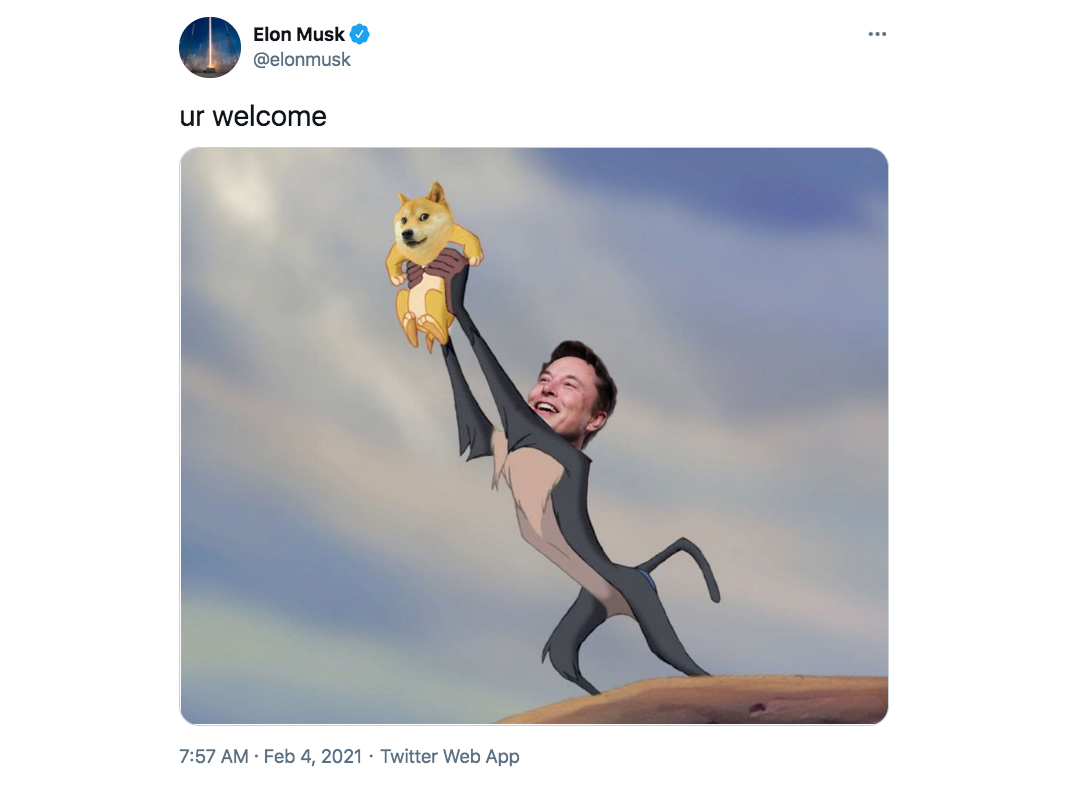 Dogecoin (DOGE): A tweet from Elon Musk sets the web on fire!