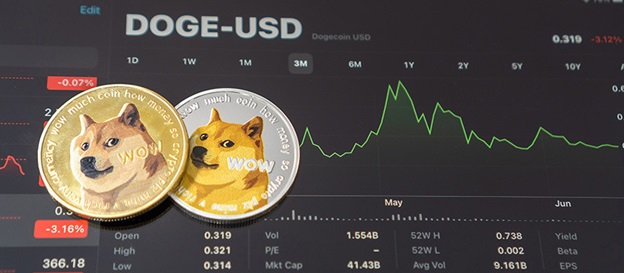 Man who lost money after investing in dogecoin sues Elon Musk for $ billion