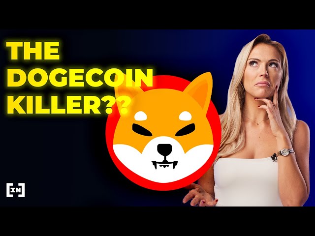 Doge Killer price today, LEASH to USD live price, marketcap and chart | CoinMarketCap