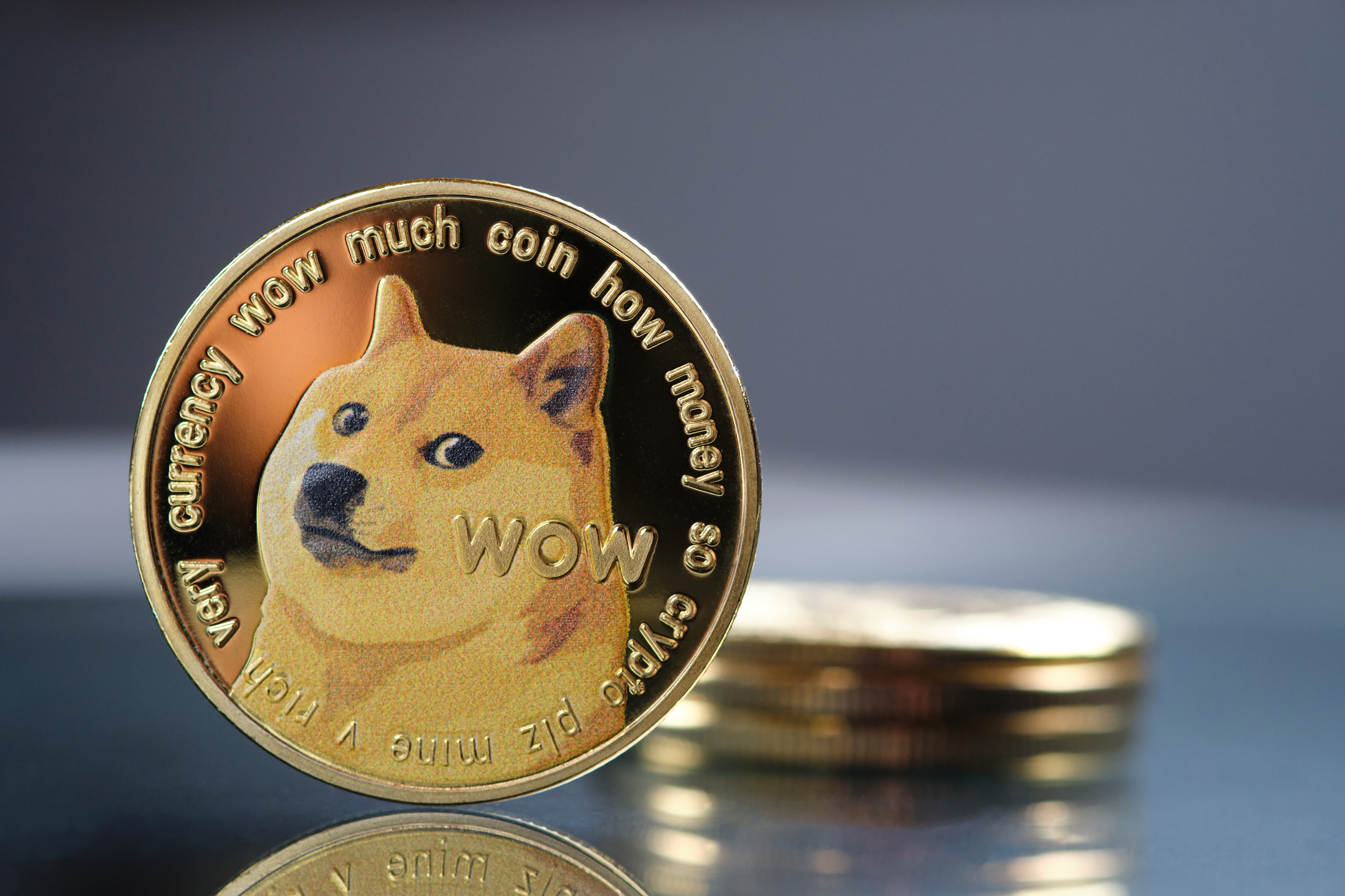 Dogecoin Price Today | DOGE Price Prediction, Live Chart and News Forecast - CoinGape