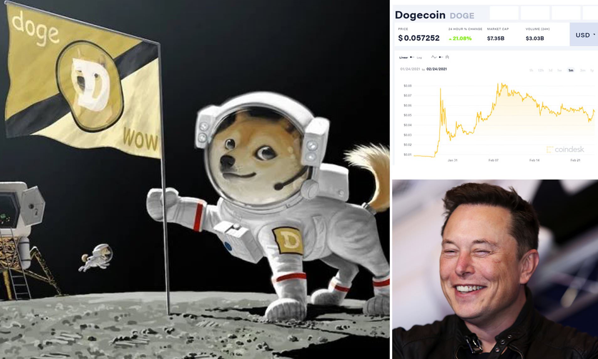 Save 50% on DOGE TO THE MOON on Steam