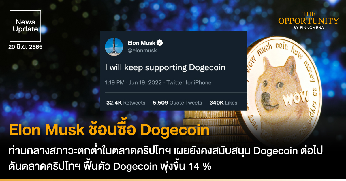 Dogecoin News - CoinDesk