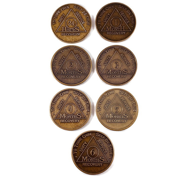 24 Hours of Sobriety Medallions - Live Life One Day at A Time — AA Medallion Store