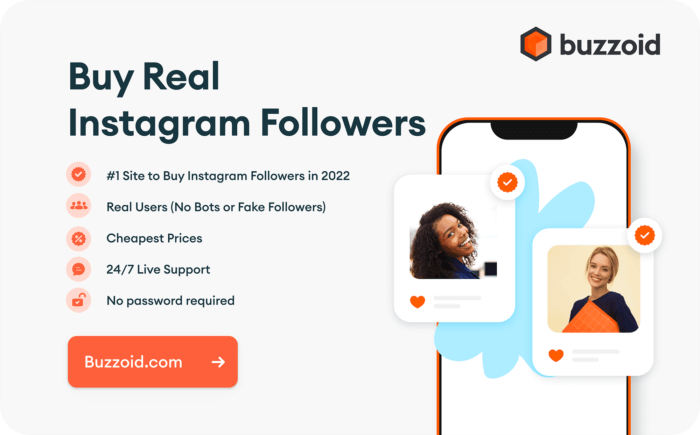 Buying Instagram Followers: Should You Buy Instagram Followers? | Mailchimp