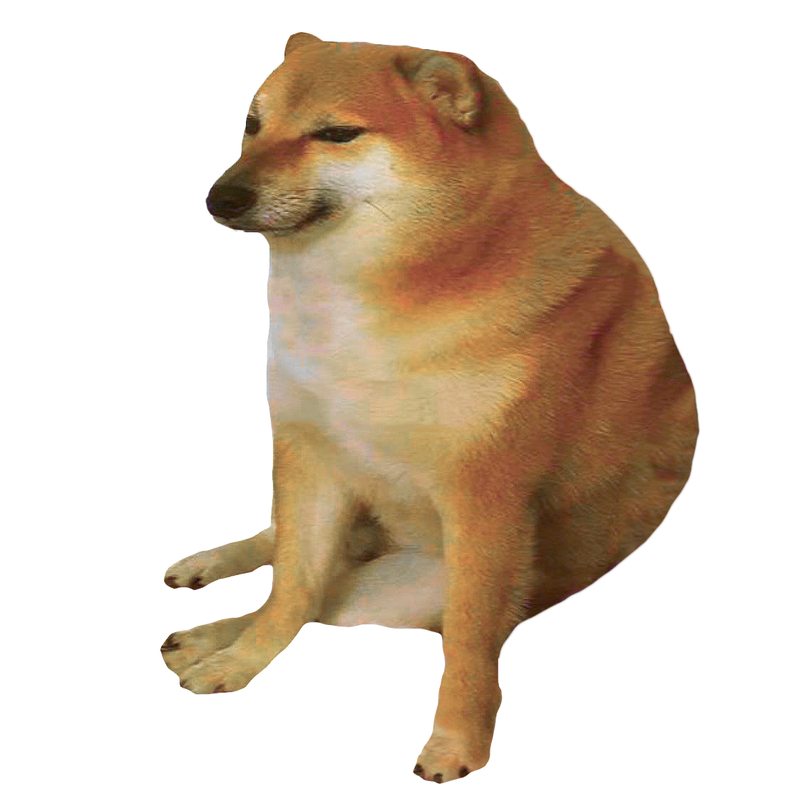 wow doge Meme Generator - Imgflip