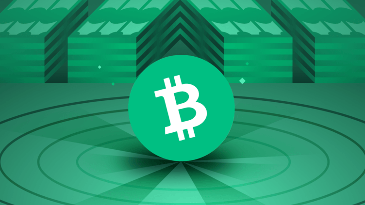 All About the Bitcoin Cash (BCH) Hard Fork