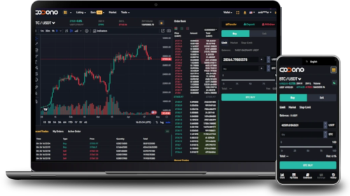 CryptoMiso - Ranking cryptocurrencies based on Github commits of past 12 months