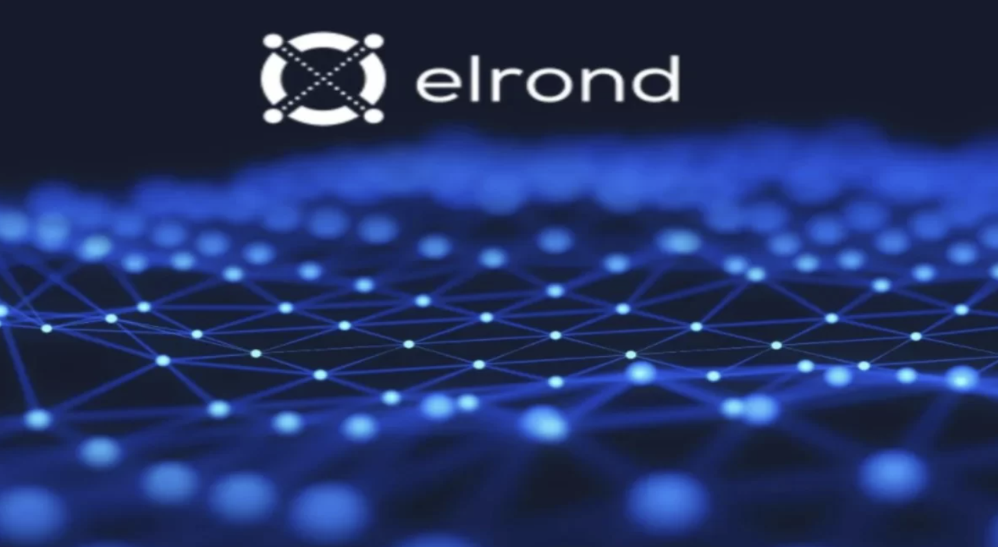 Crypto News, Articles & Posts in EGLD - Elrond Category | Coin Guru