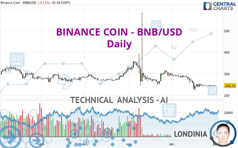 BINANCE COIN - BNB/USD Trading signals