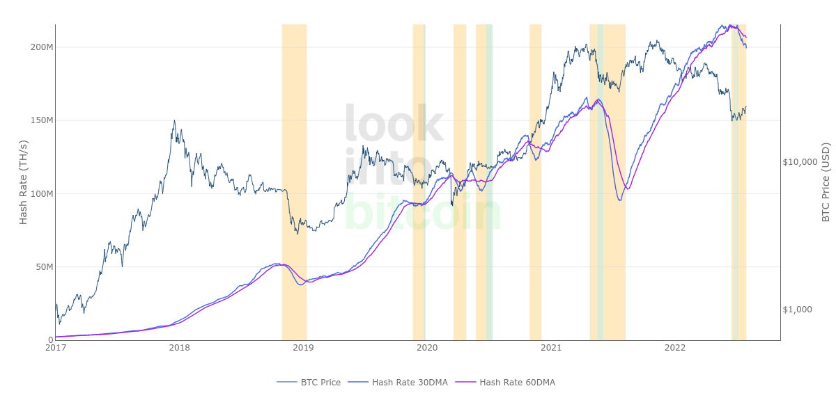 Wyckoff Crypto Report vol 14 - Wyckoff Analytics