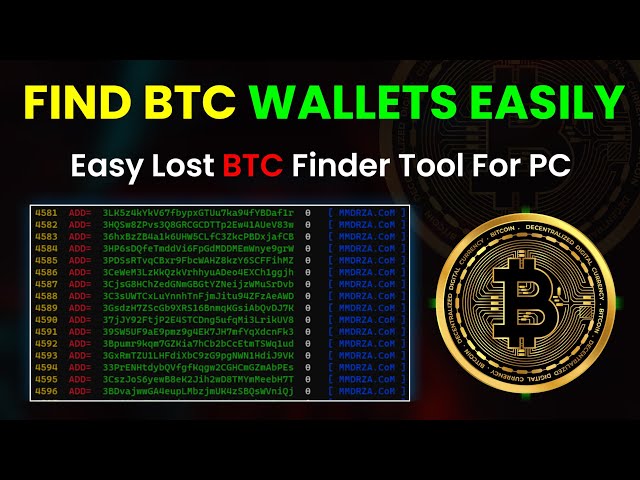 What is the Largest Bitcoin Wallet That is Lost?