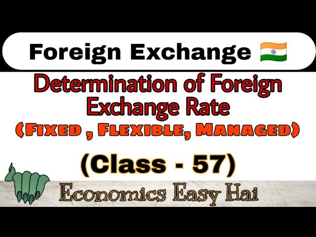 Chapter 11 Foregin Exchange Rate class 12th Commerce