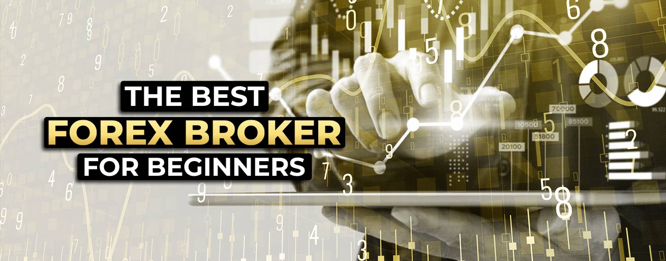 Best Forex Brokers for Beginners: Start Trading Today • Benzinga