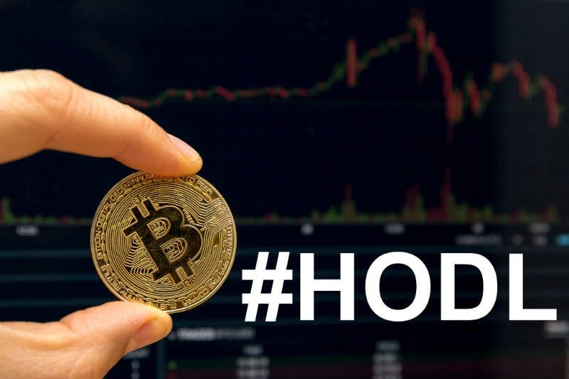 My feed | Articles | The story of hodl: Bitcoin's battle cry