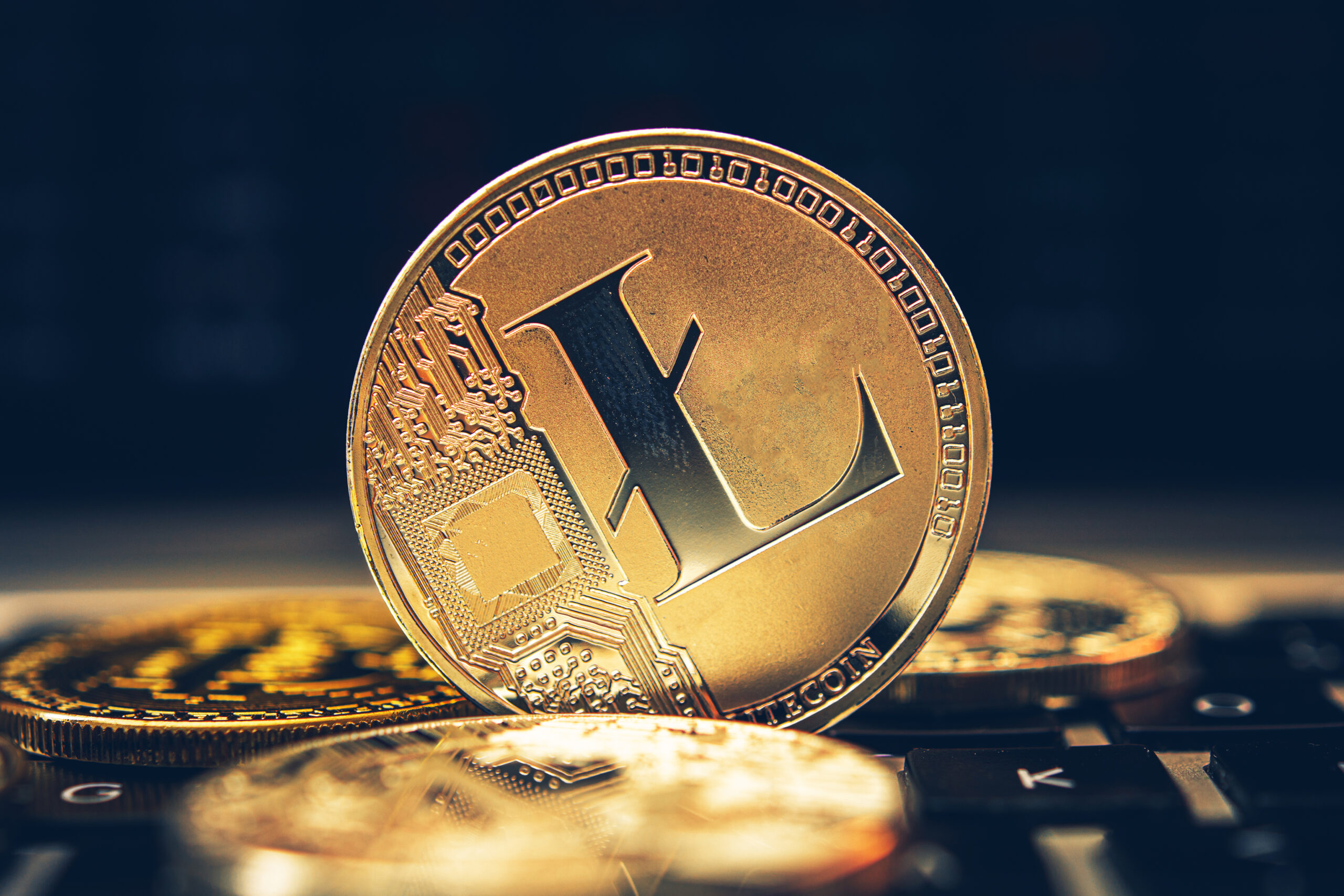 Litecoin information, price for today and LTC market cap