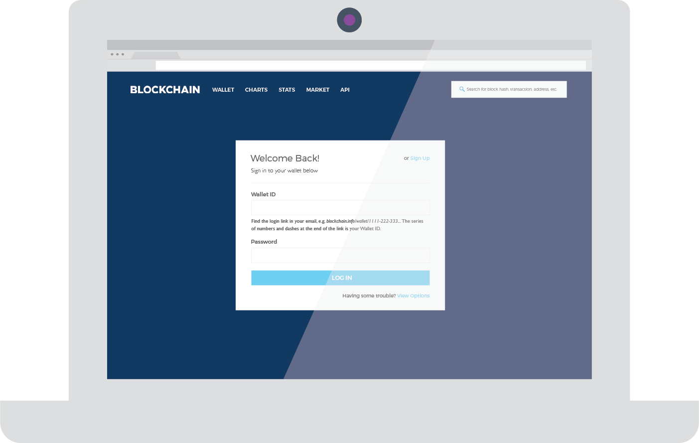 How to Find Your Wallet Address on ecobt.ru - Followchain