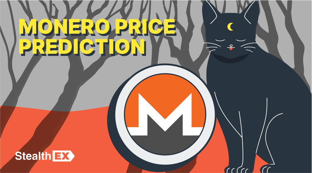 Investing in Monero (XMR) - Everything You Need to Know - ecobt.ru