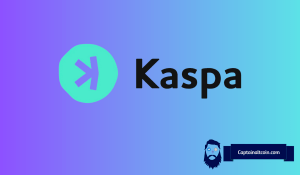 Kaspa’s Fair Launch - Kaspa