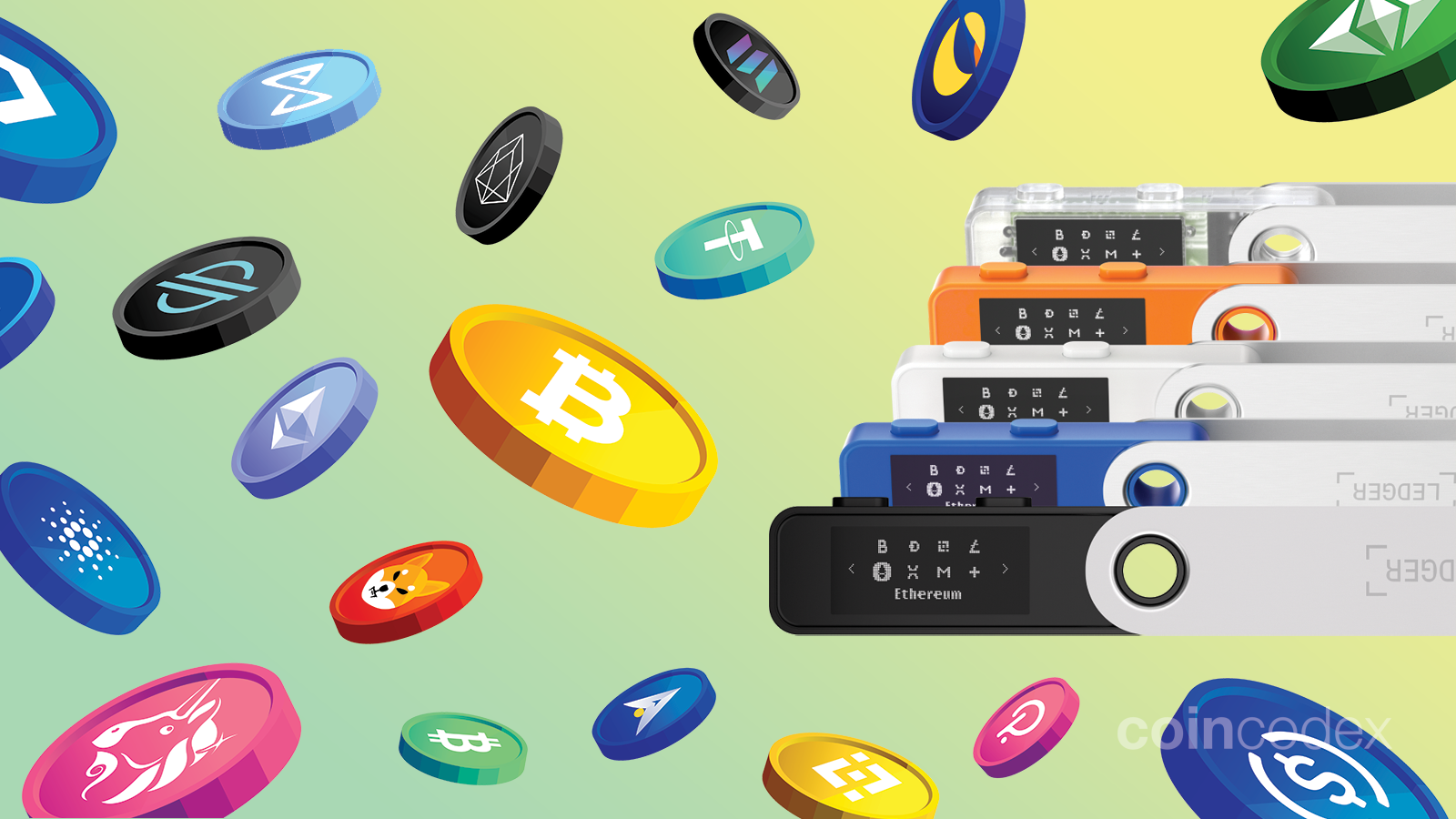 How many coins can be stored on Ledger hardware wallets? - ecobt.ru