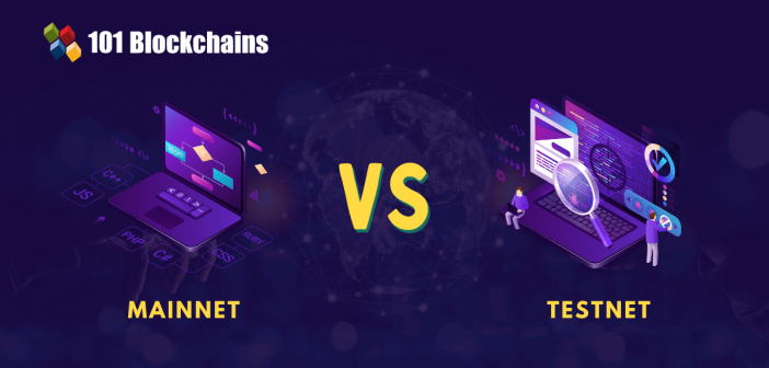 Crypto Network Instances: Mainnet, Testnet & Devnet | Gemini