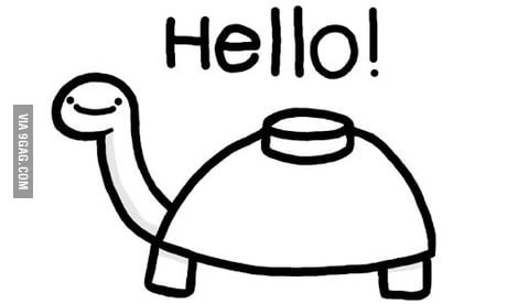 hello mine turtle Best Sound Alert Memes