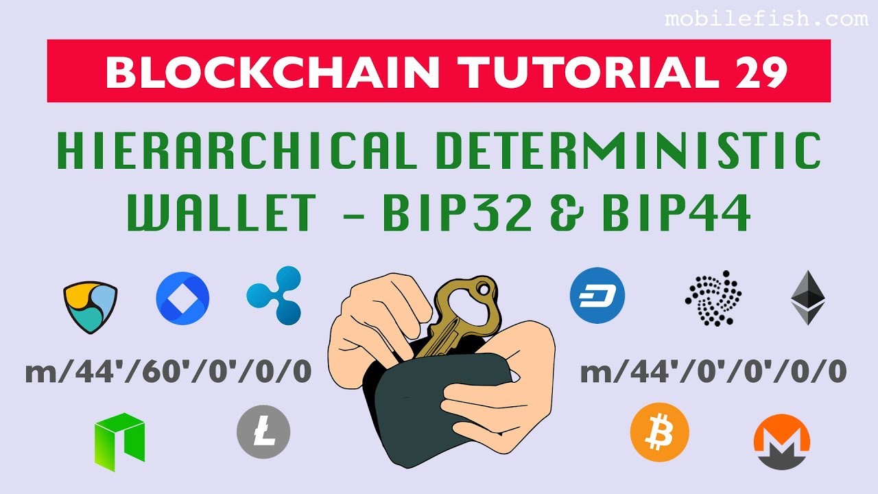 Categories of Bitcoin Wallets