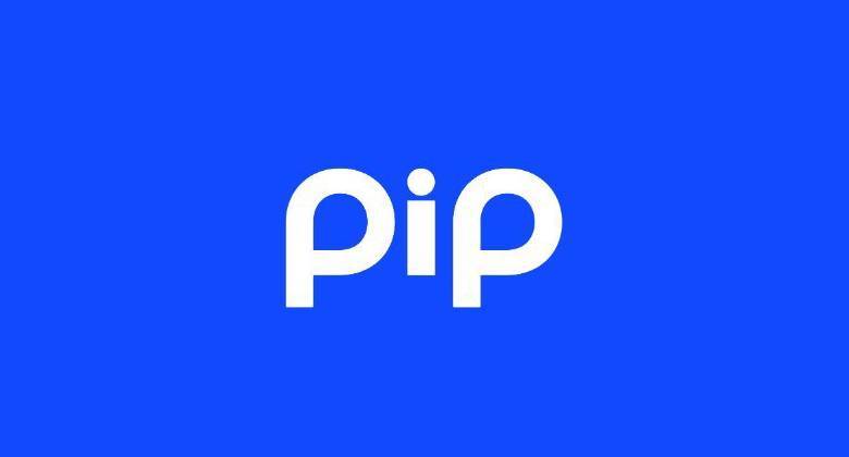 PIP Price Today - PIP Price Chart & Market Cap | CoinCodex