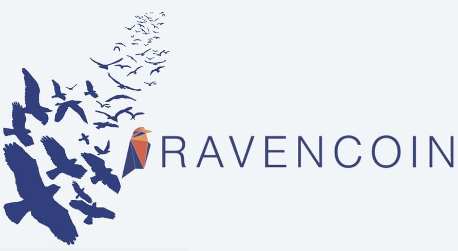Ravencoin Wallet: Which is the Best Option? - UseTheBitcoin