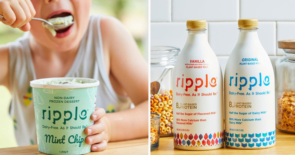 Ripple Foods launches plant-based milk with no added sugars | Food Business News