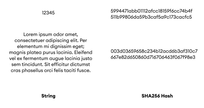 [CryptoAPI] Encryption in SHA format | OutSystems