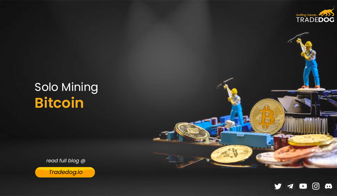 What is solo mining and how does it work? | NiceHash