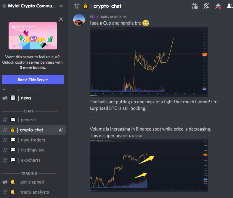 Top Crypto Discord Groups Unveiled: Traders' Ultimate Guide