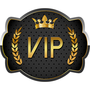 Vip Coin Price Today US | VIP-COIN to USD live, Charts, Market Cap, News - Sahi Coin