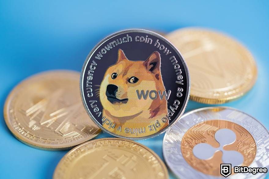 Dogecoin price today, DOGE to USD live price, marketcap and chart | CoinMarketCap