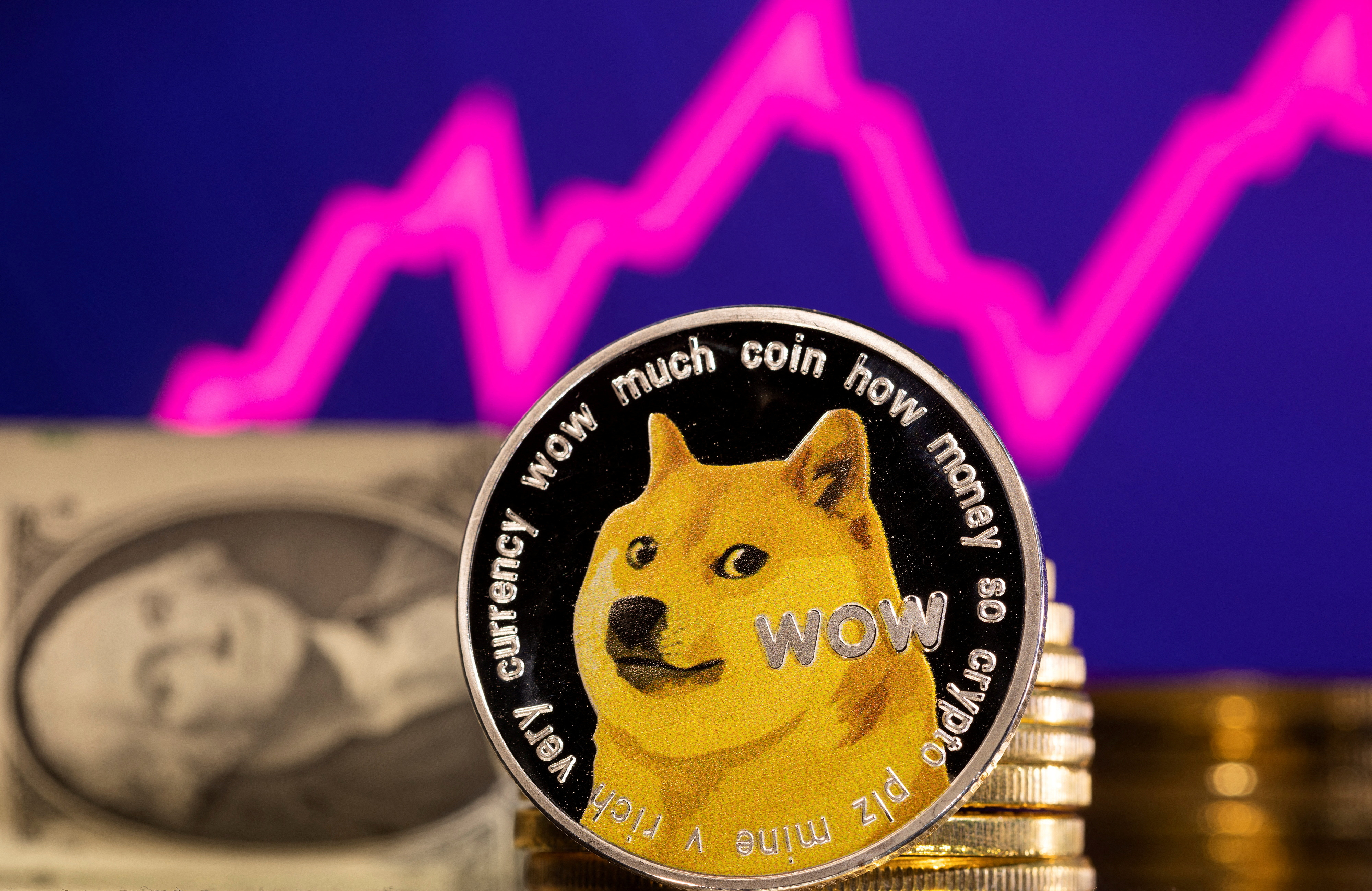 The Dogecoin Standard book by Sebastian Walden